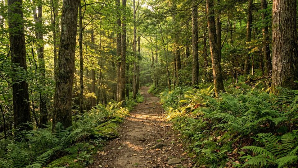 Sunrise over the Great Smoky Mountains near JourneyPure Knoxville treatment facilities