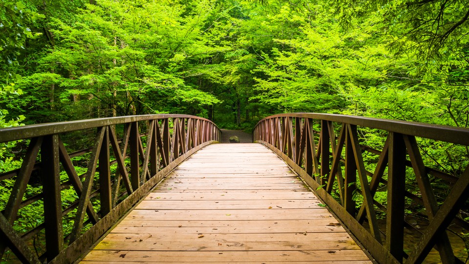 Serene mountain pathway in East Tennessee symbolizing hope and the first step toward lasting recovery journey.