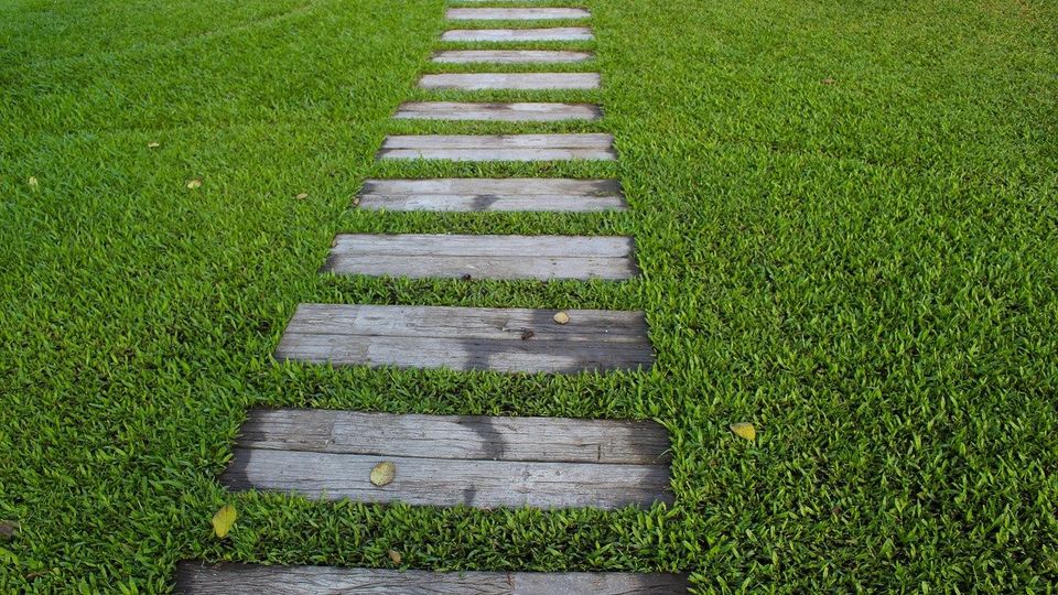 Sunlit tranquil forest trail with dappled light representing a calm and inviting journey to wellness.